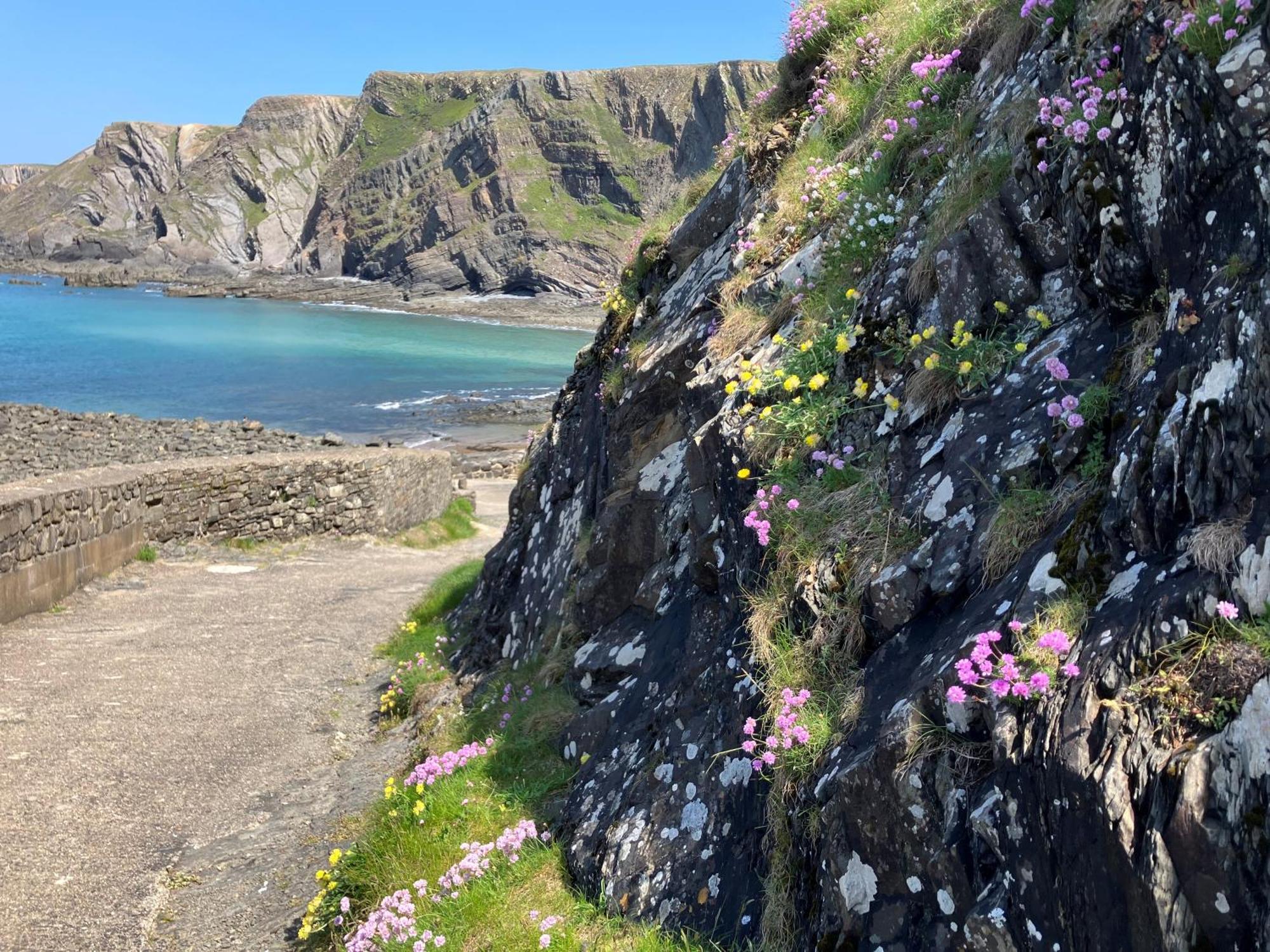 Hartland Quay Hotel Екстер'єр фото